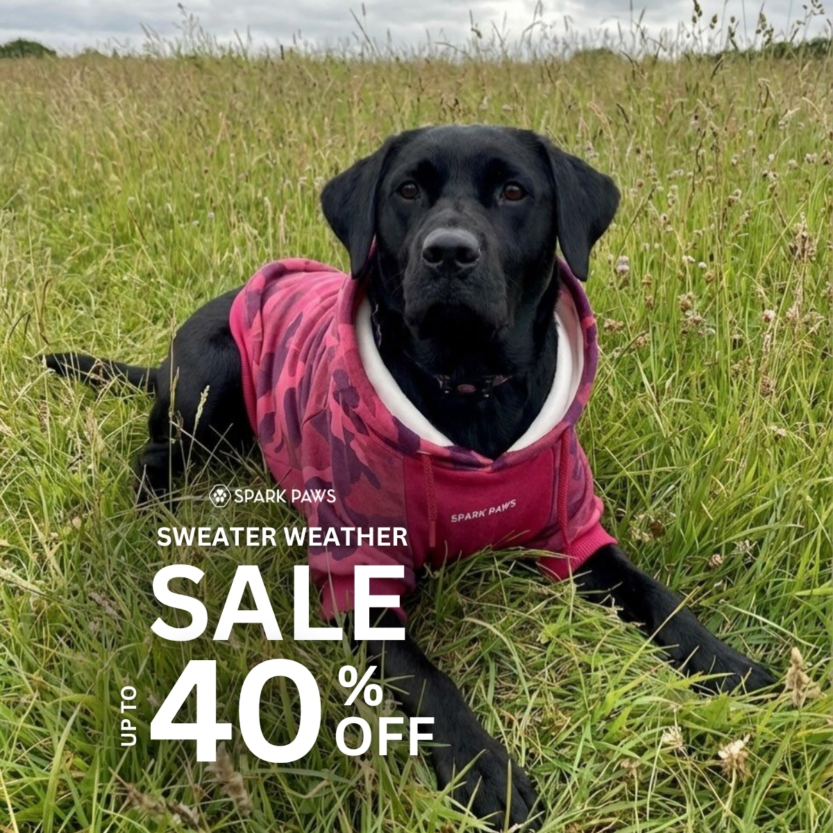 Spark Paws Facebook ad
