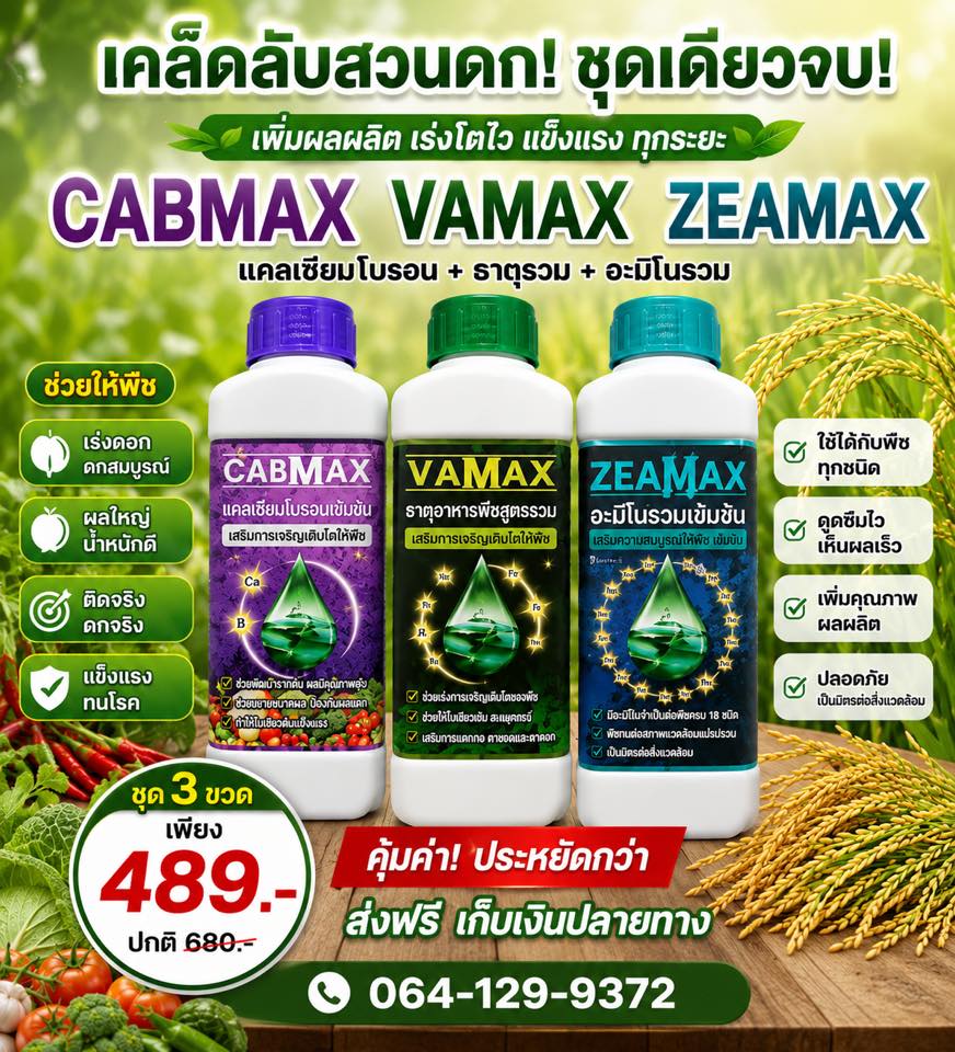 ปุ๋ยน้ำเพื่อชาวเกษตรกร โทร 064-129-9372 Facebook ad: สนใจทักแชทสอบถามเพิ่มเติมได้นะคะ