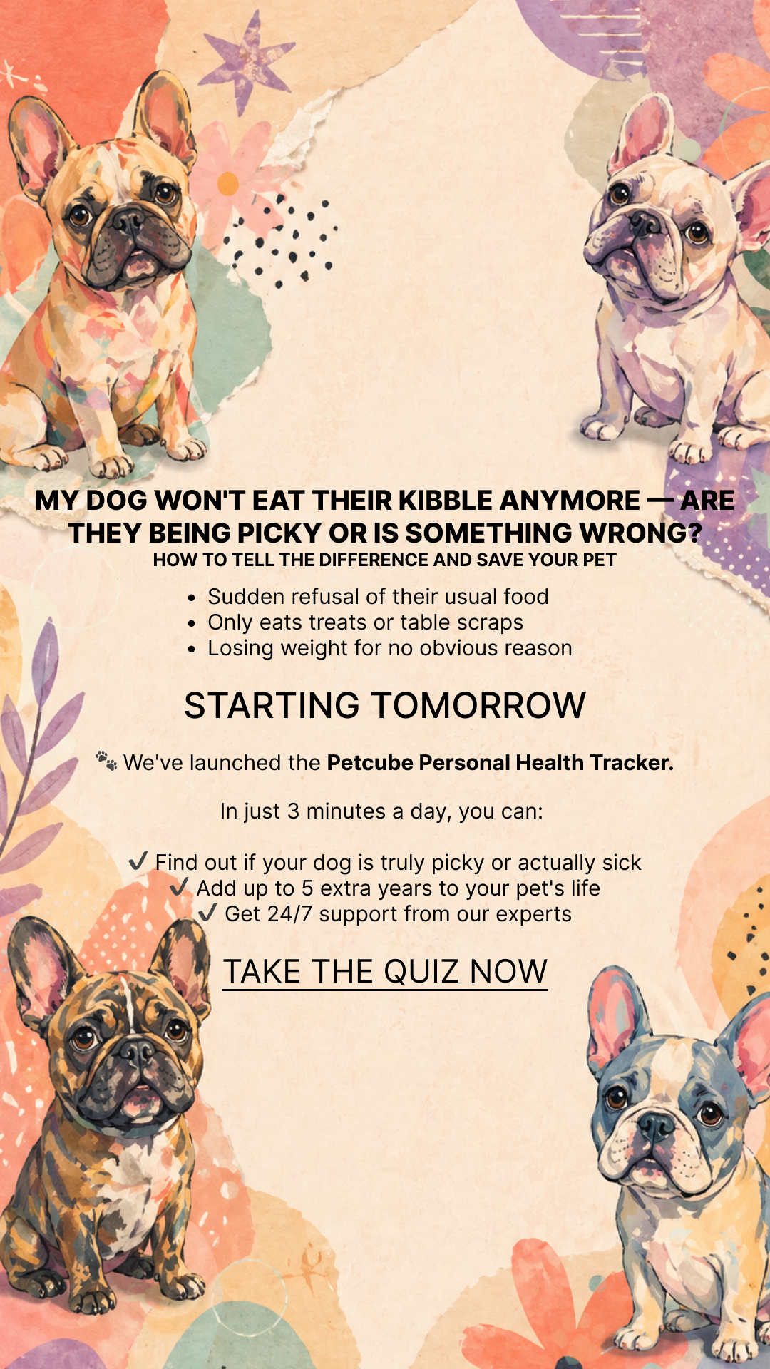 Petcube Facebook ad