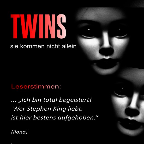 Inca Vogt Facebook ad: TWINS, sie kommen nicht allein: Thriller (darkside)