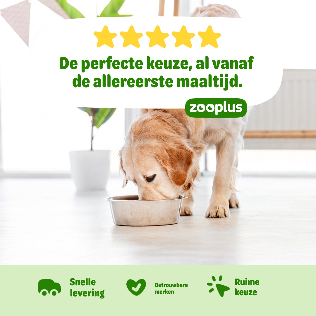 zooplus Facebook ad