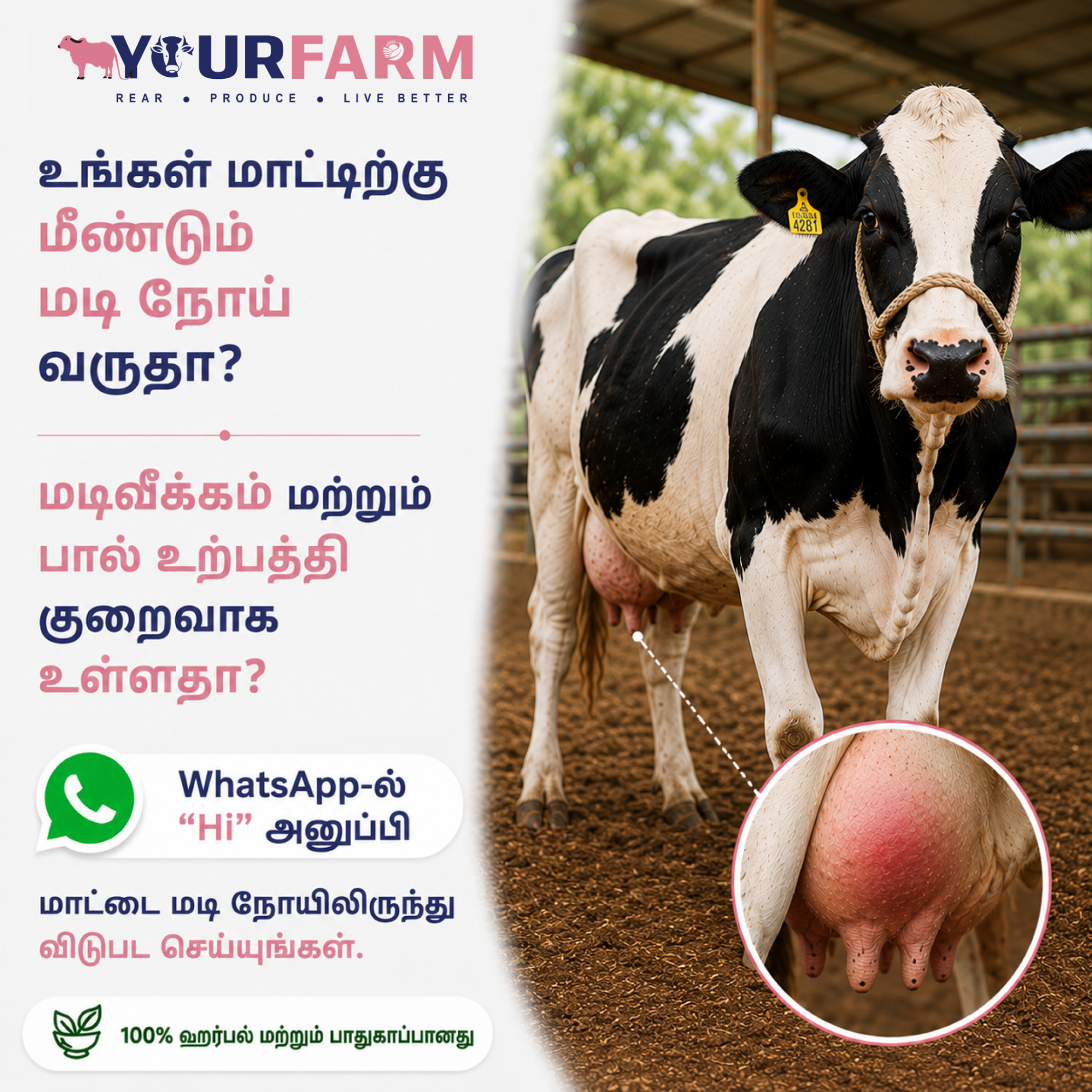 YourFarm AgriTech Facebook ad: உங்கள் மாட்டிற்கு ஏதேனும் உடல்நலப் பிரச்சனை இருக்கிறதா?