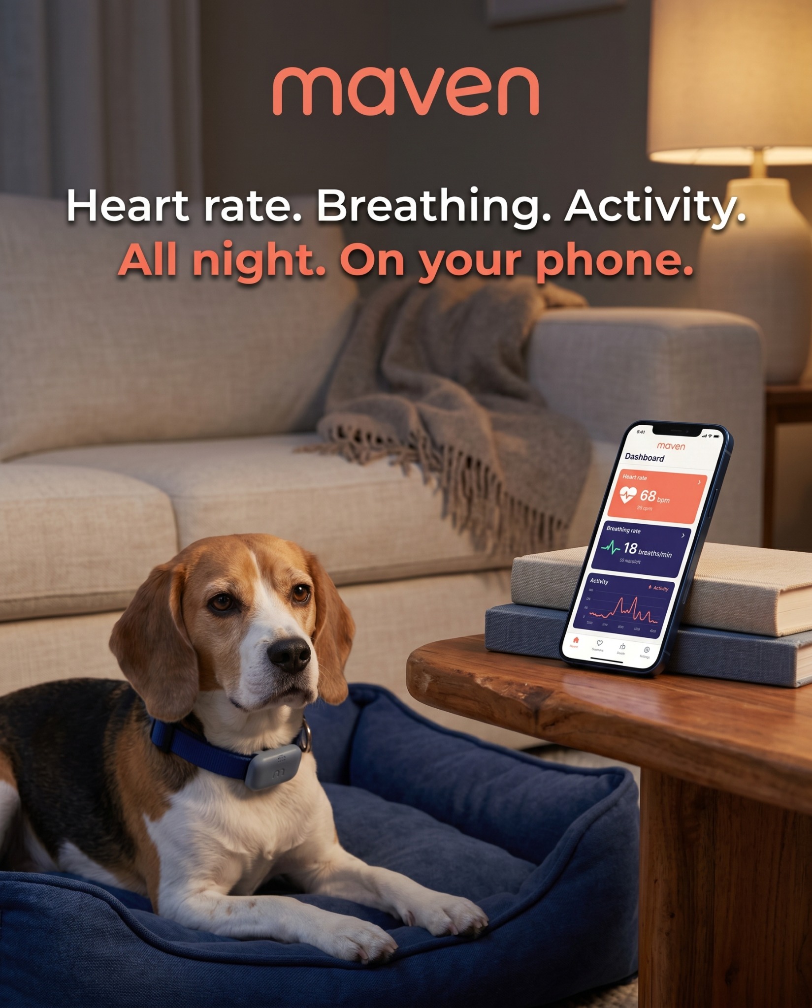 Maven Pet Facebook ad