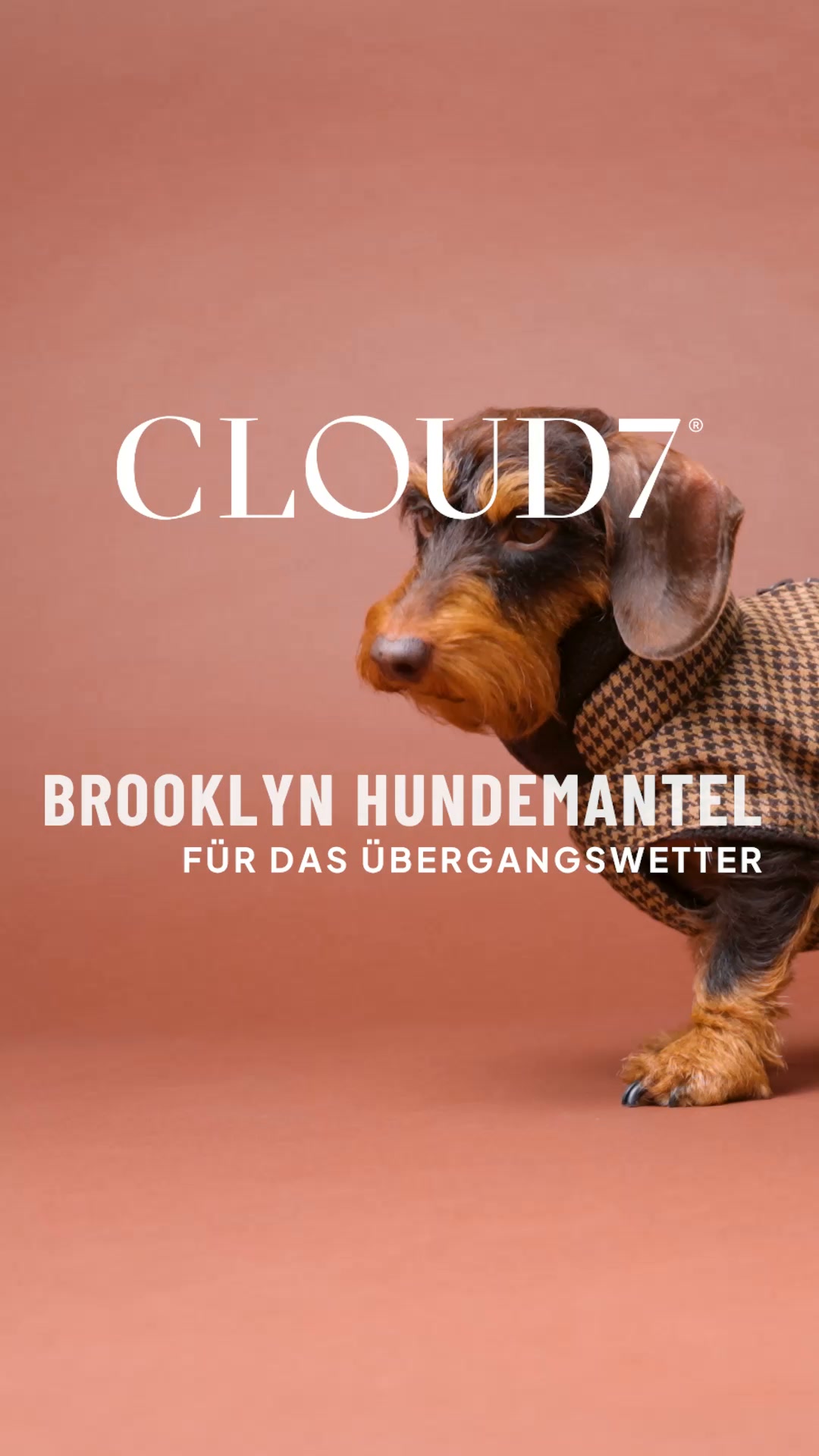 Cloud7 Facebook ad: Wetterfest für jeden Hund