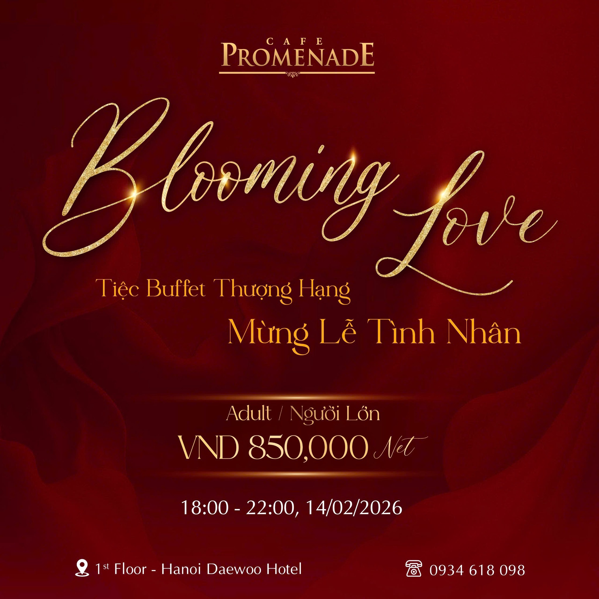 Hanoi Daewoo Hotel Facebook ad