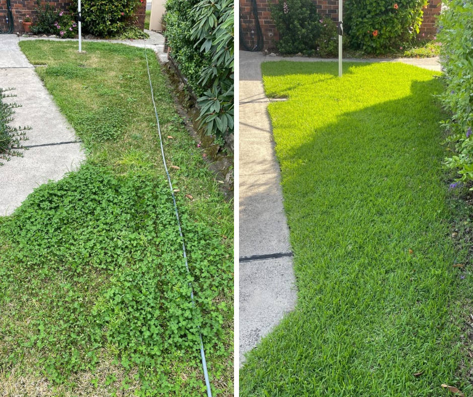 Coochie HydroGreen Jimboomba Facebook ad: Free Lawn Assessment