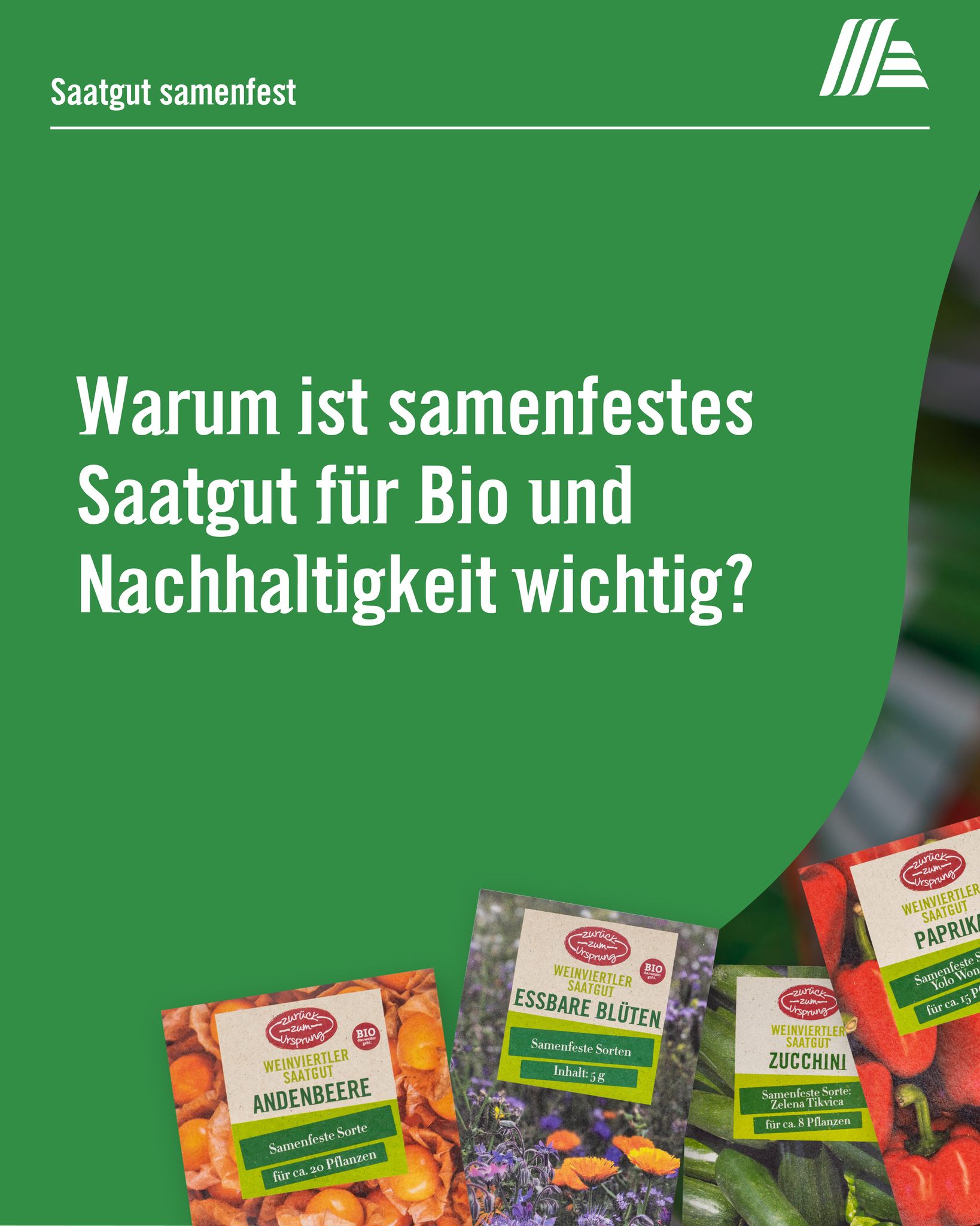 Zurück zum Ursprung Facebook ad: Wusstest du, dass samenfestes Saatgut der Schlüssel für…