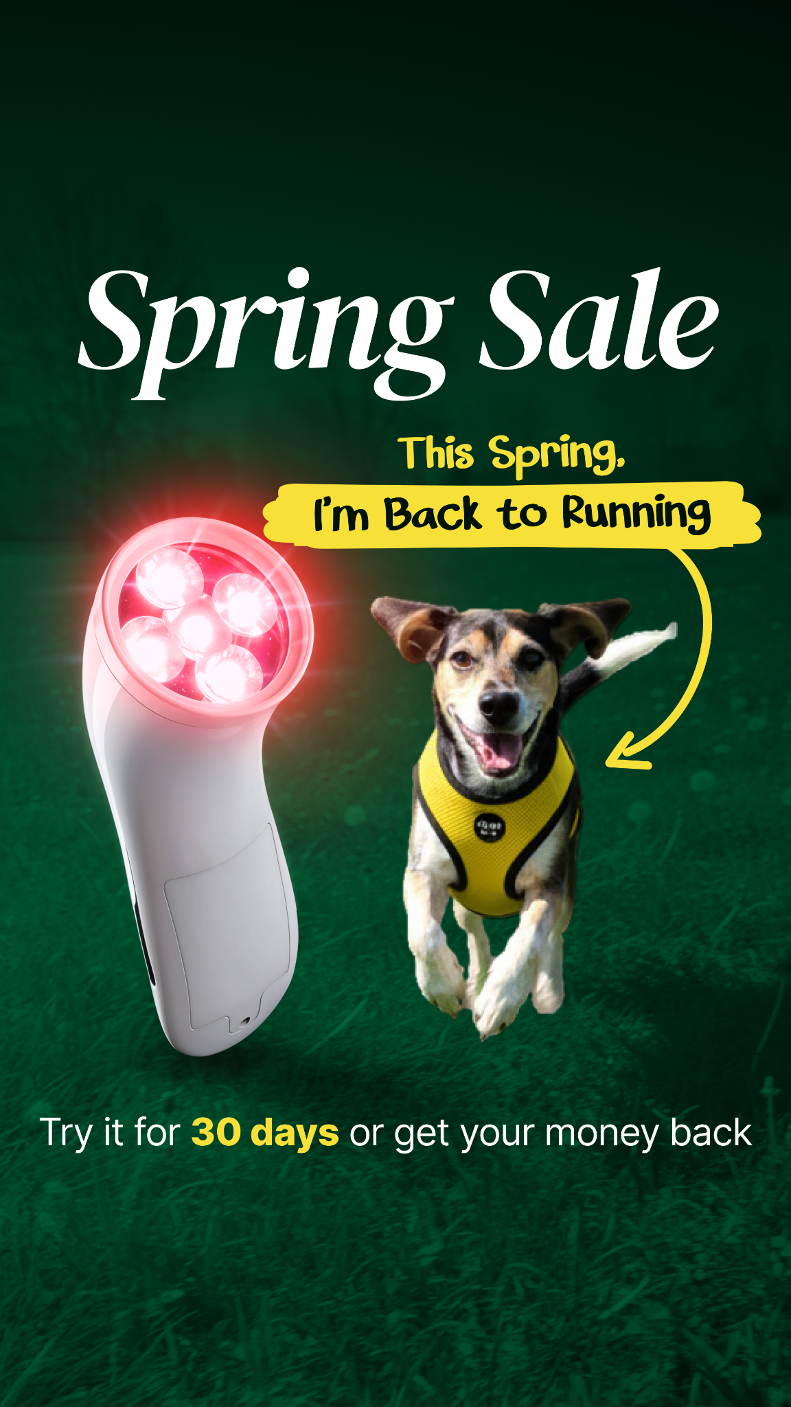 Helio Pet Facebook ad
