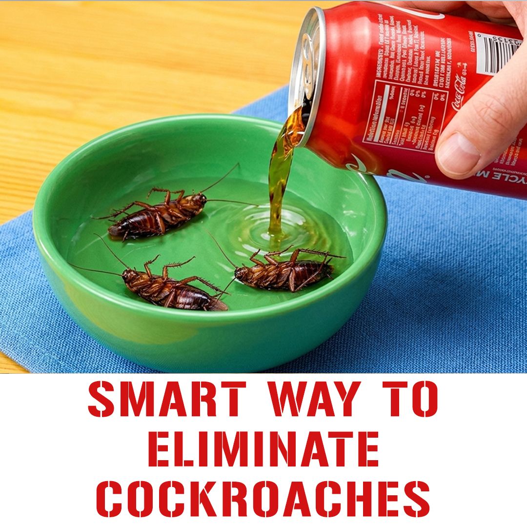 Pest Control Secrets Facebook ad