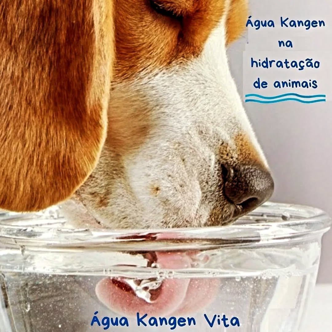 aguakangenvita Facebook ad: A Água Kangen pode ser usada em animais…