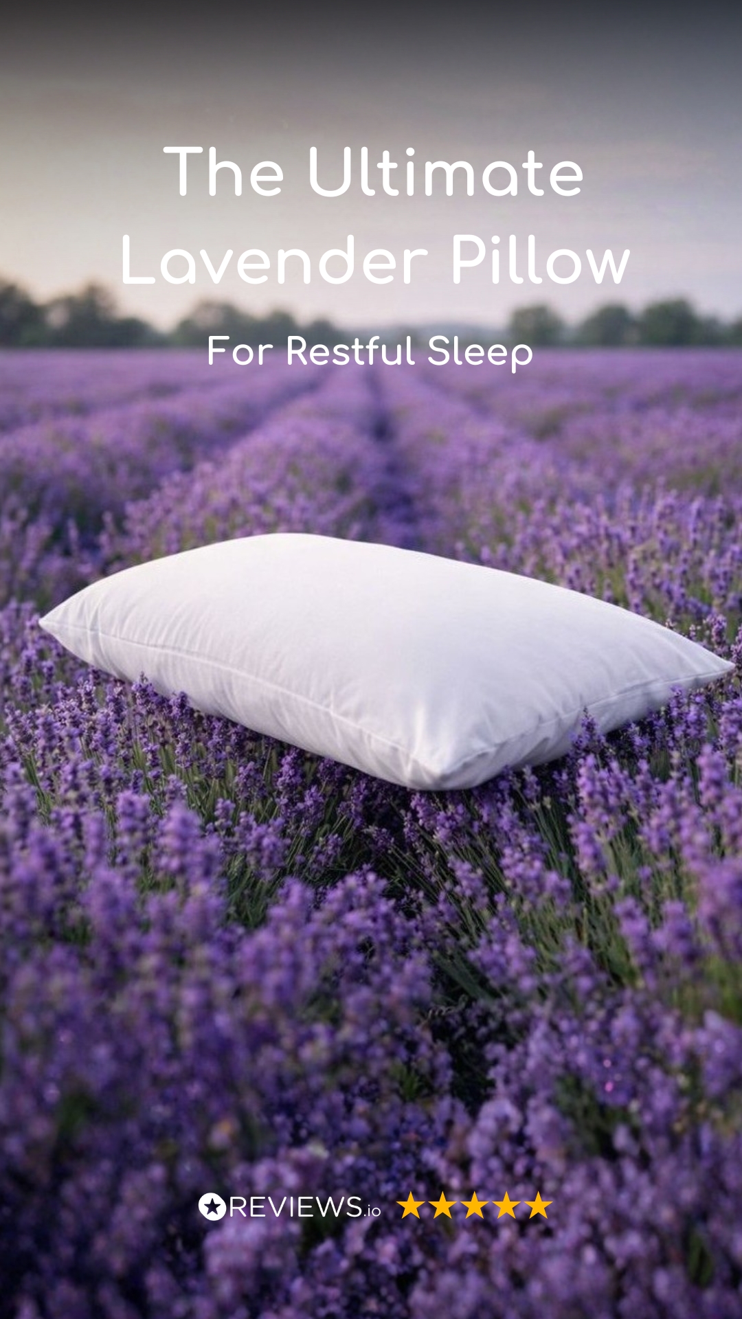 Pillow World Facebook ad from Jun 17, 2026