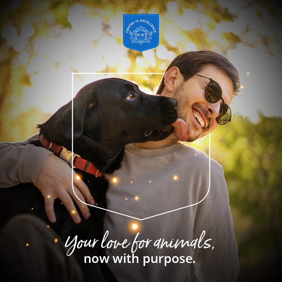 Centre of Excellence Facebook ad