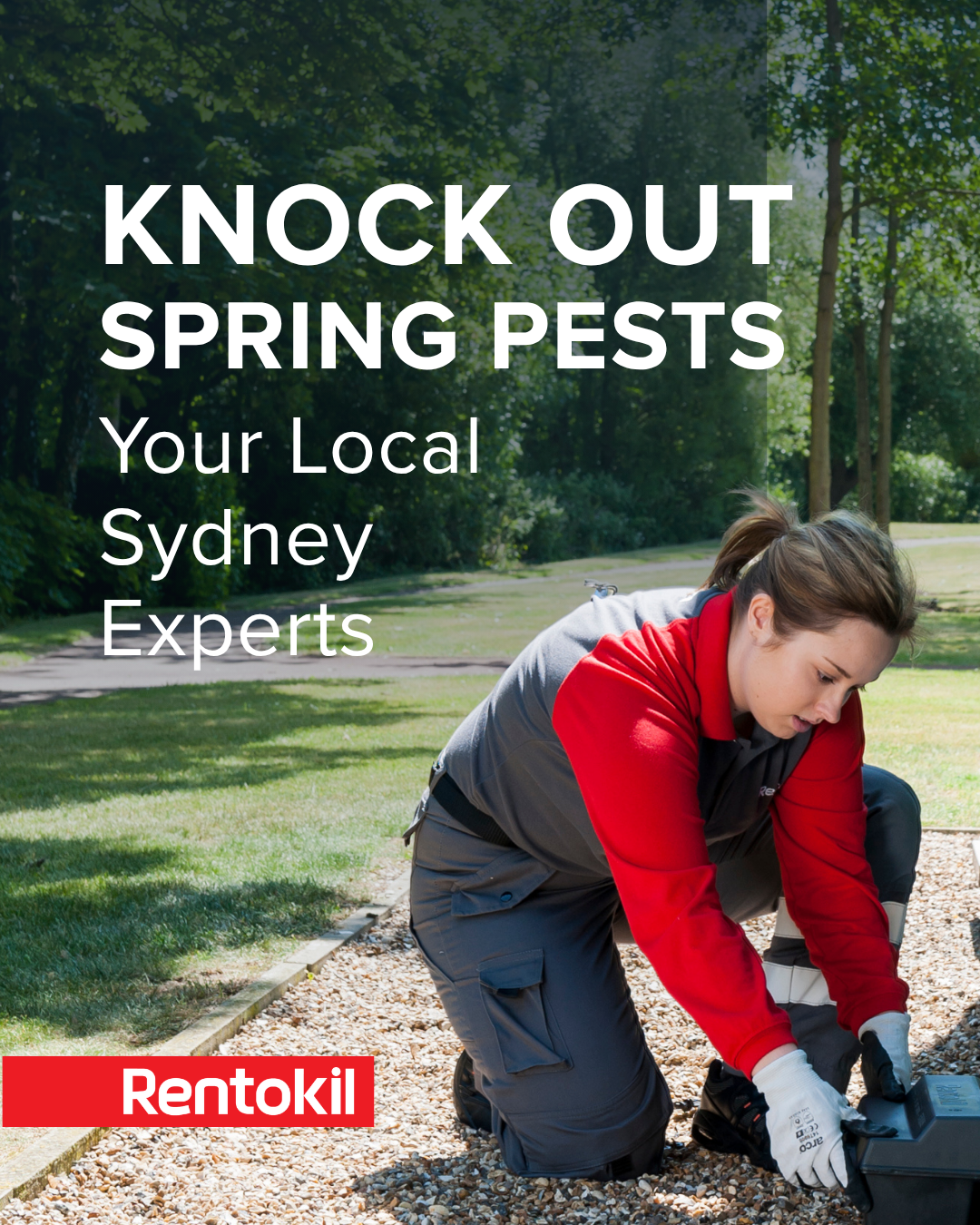 Rentokil Pest Control Australia Facebook ad: Get Your Free Quote