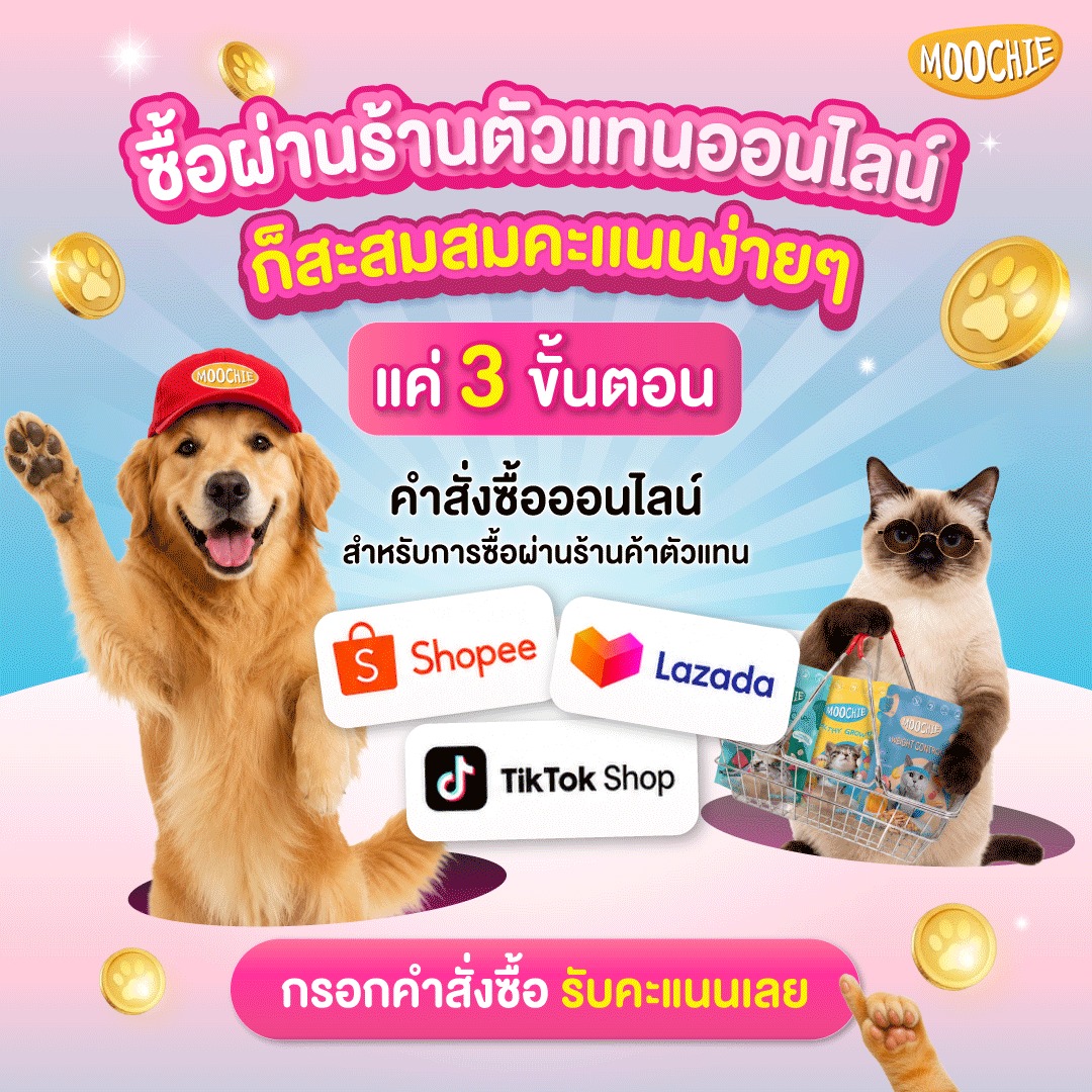 Moochie อาหารเปียกสุนัขและแมว Facebook ad: ใครมีใบเสร็จMoochie อย่าพึ่งทิ้ง!