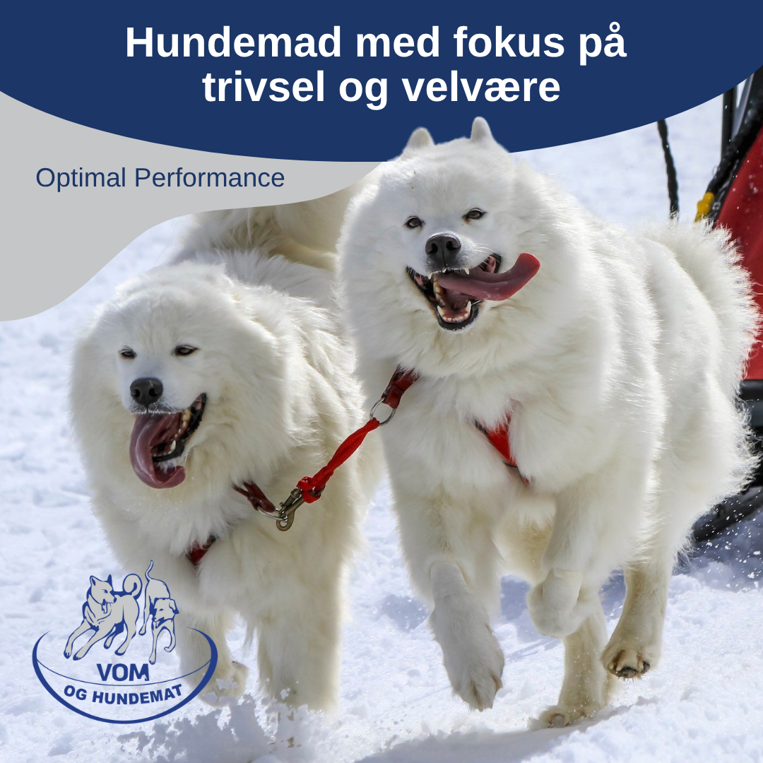 Vom og Hundemat Danmark Facebook ad: Se sortiment og find forhandler nær dig på…
