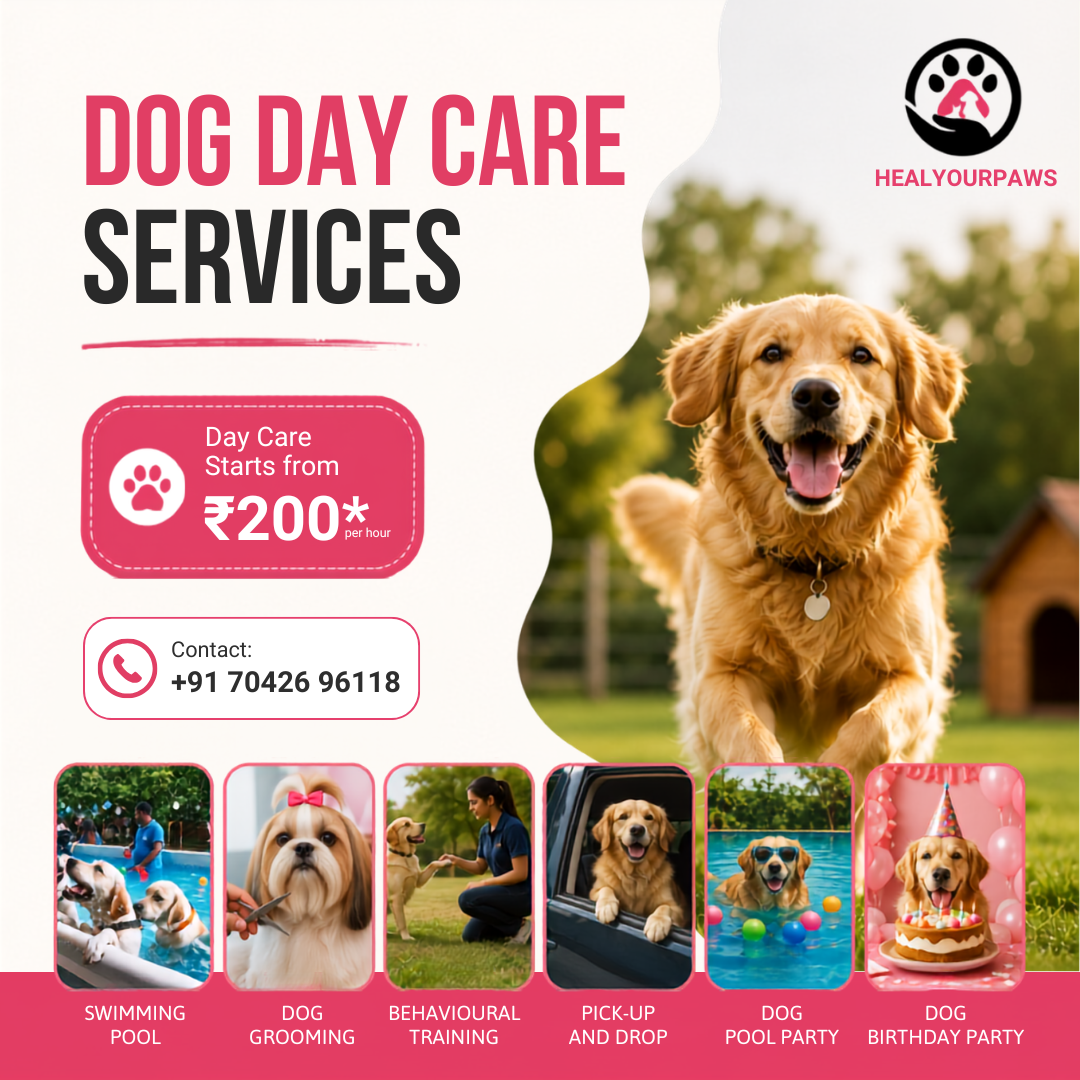 Healyourpaws Facebook ad