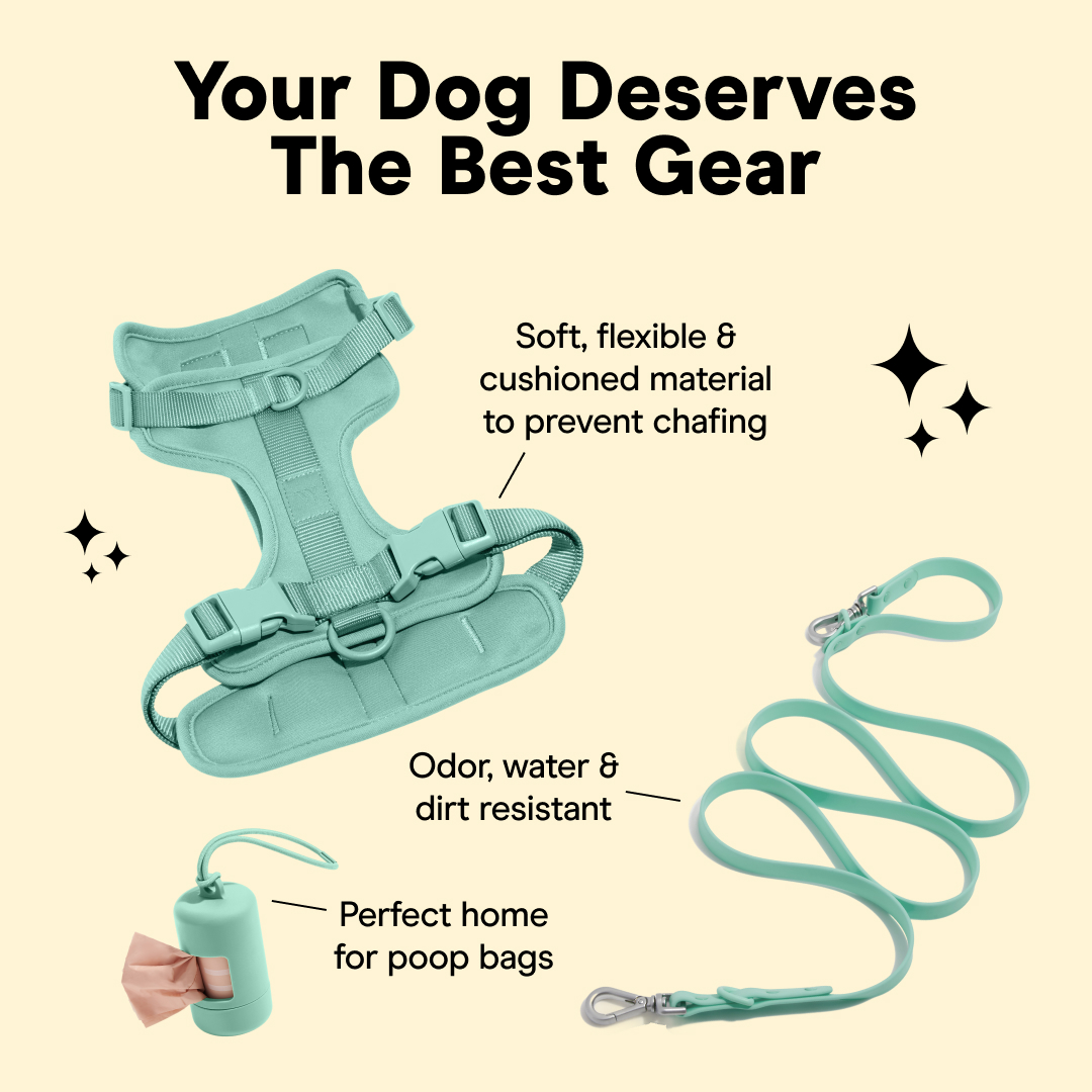 Wild One Facebook ad