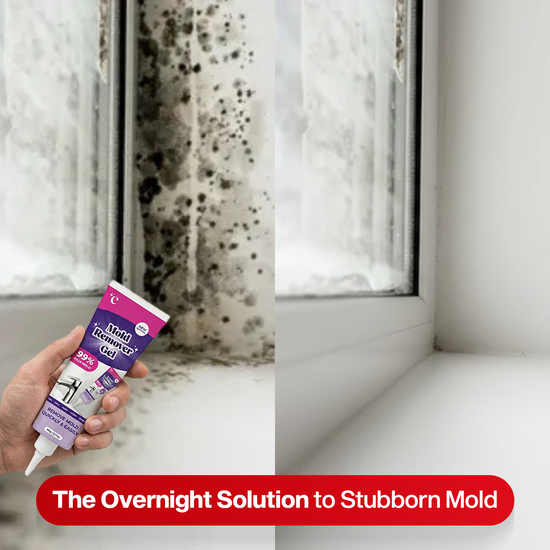 Home Cleaning Hacks Facebook ad: Why Mold Keeps Coming Back