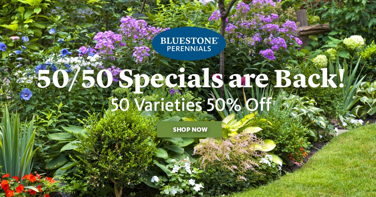 Bluestone Perennials Facebook ad: 50% Off 50 Fabulous Plants