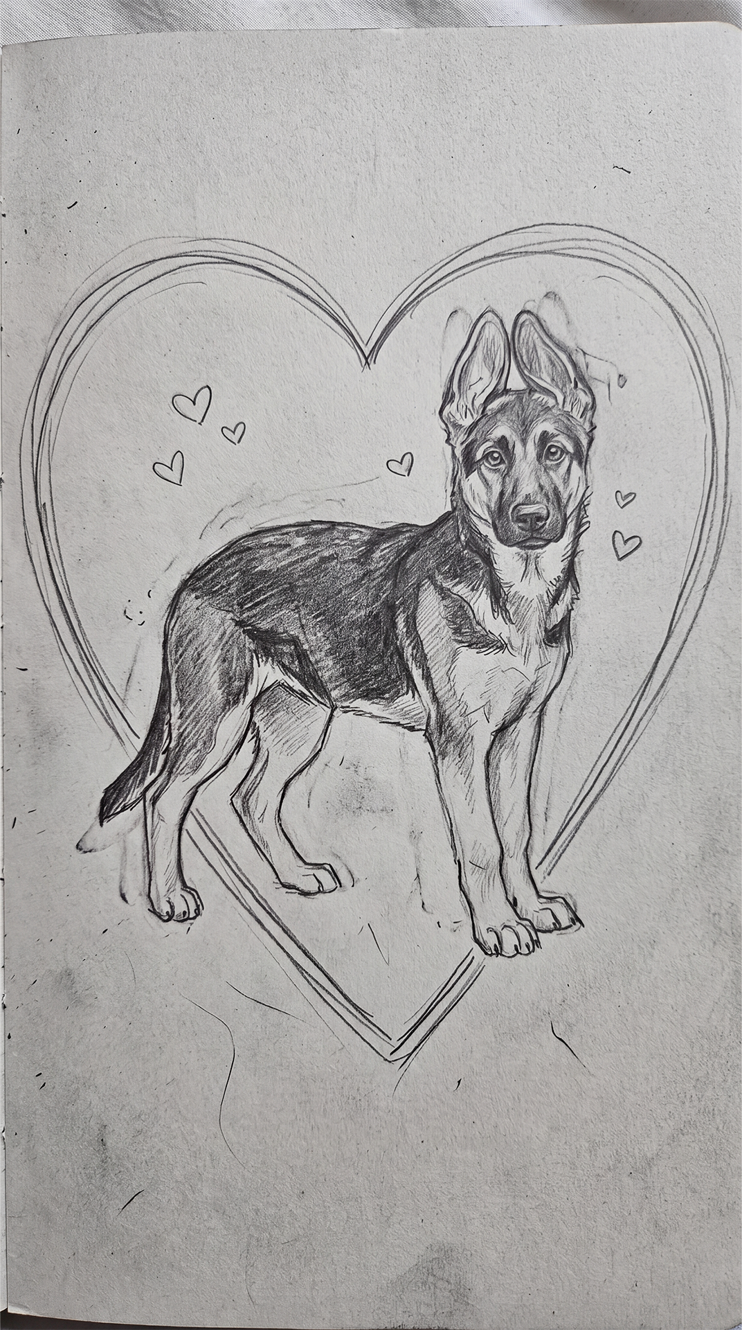 Dog Arthritis Support Community Facebook ad: The GSD Puppy Growth Stage: What To Know