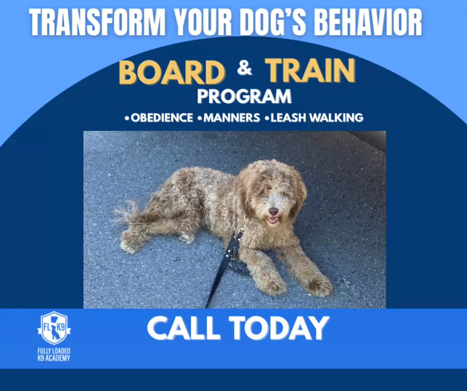 Fully Loaded K9 Academy Facebook ad: Board & Train at Fully Loaded K9 Academy