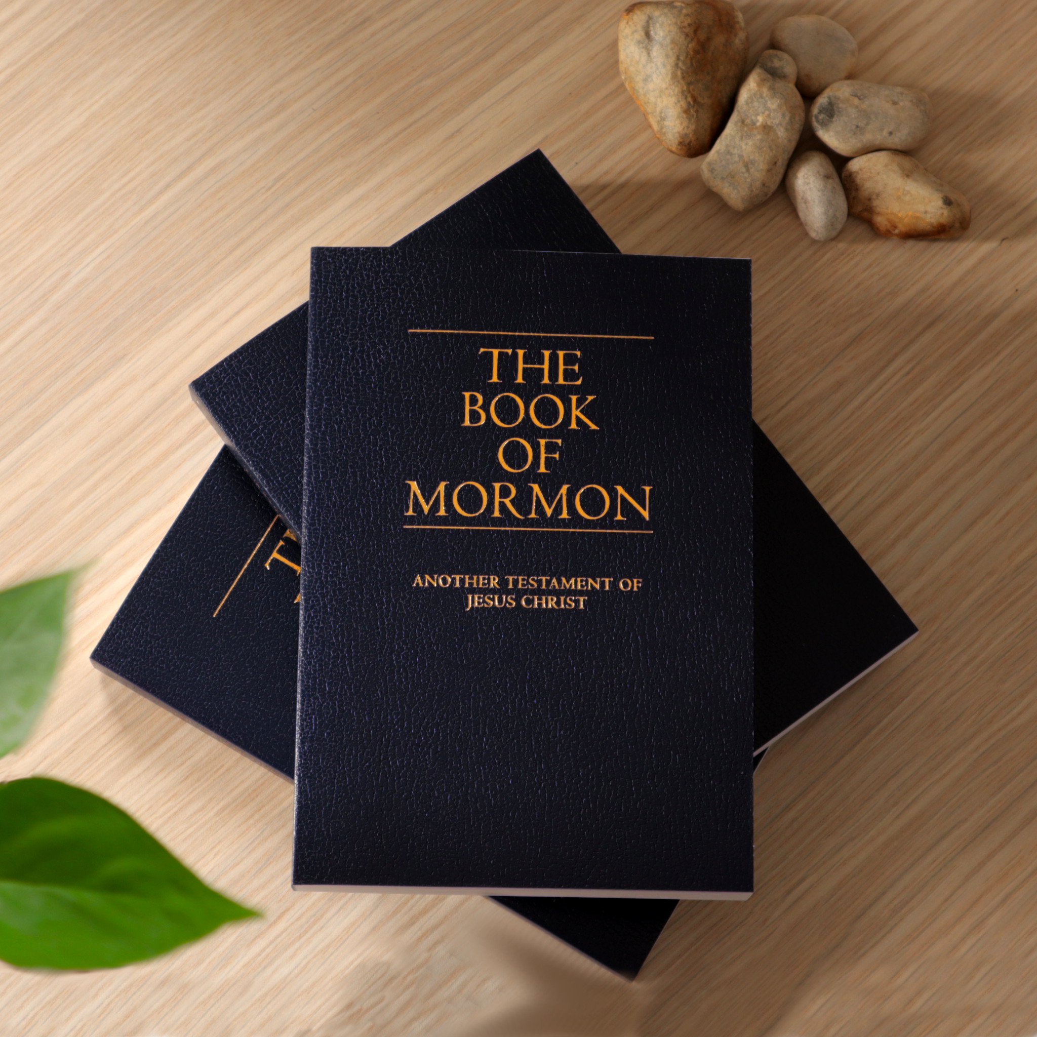 Come Unto Christ in KZN Facebook ad: Receive a free copy of The Book of Mormon today!