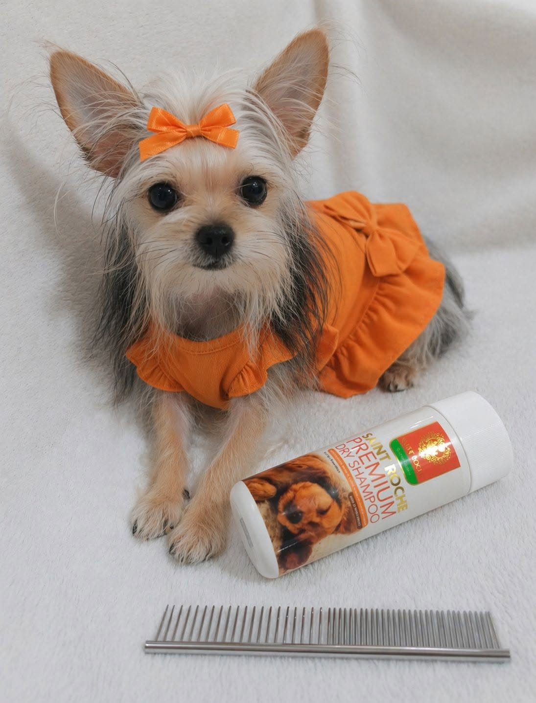 Saint Roche Premium Dog Shampoo Facebook ad