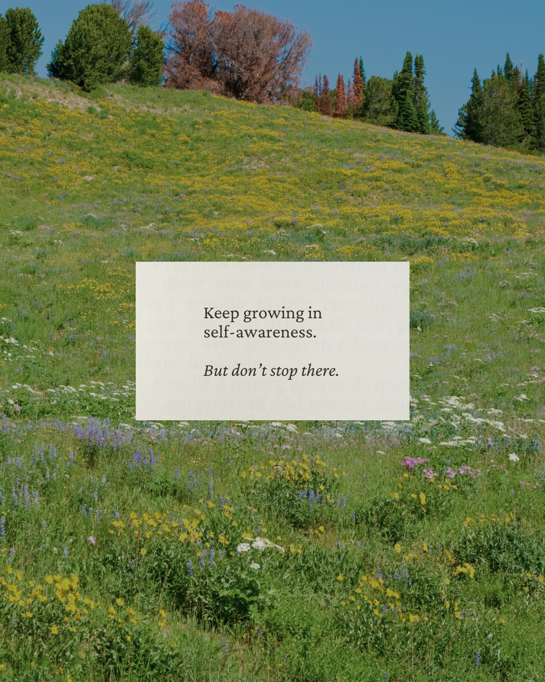 Soul Shepherding Facebook ad: Self-awareness, on its own, can only take you…