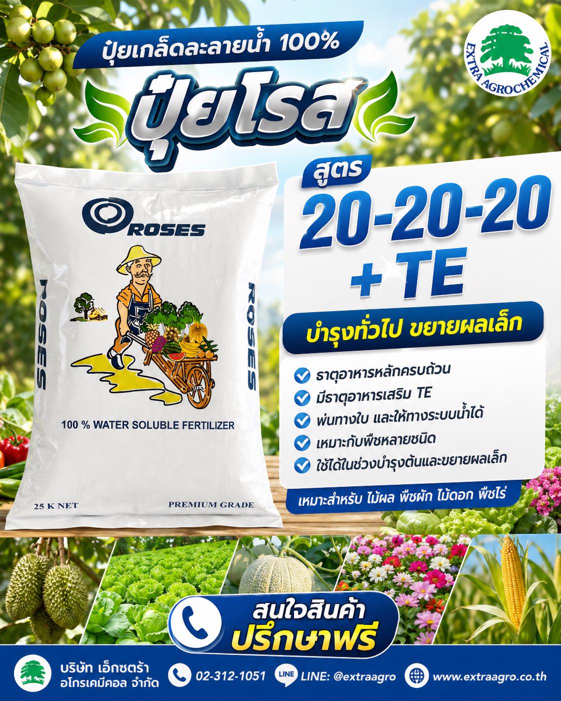 บริษัท เอ็กซตร้า อโกรเคมีคอล จำกัด Facebook ad: บำรุงต้นให้สมดุล ผลเล็กเดินต่อได้ดี
