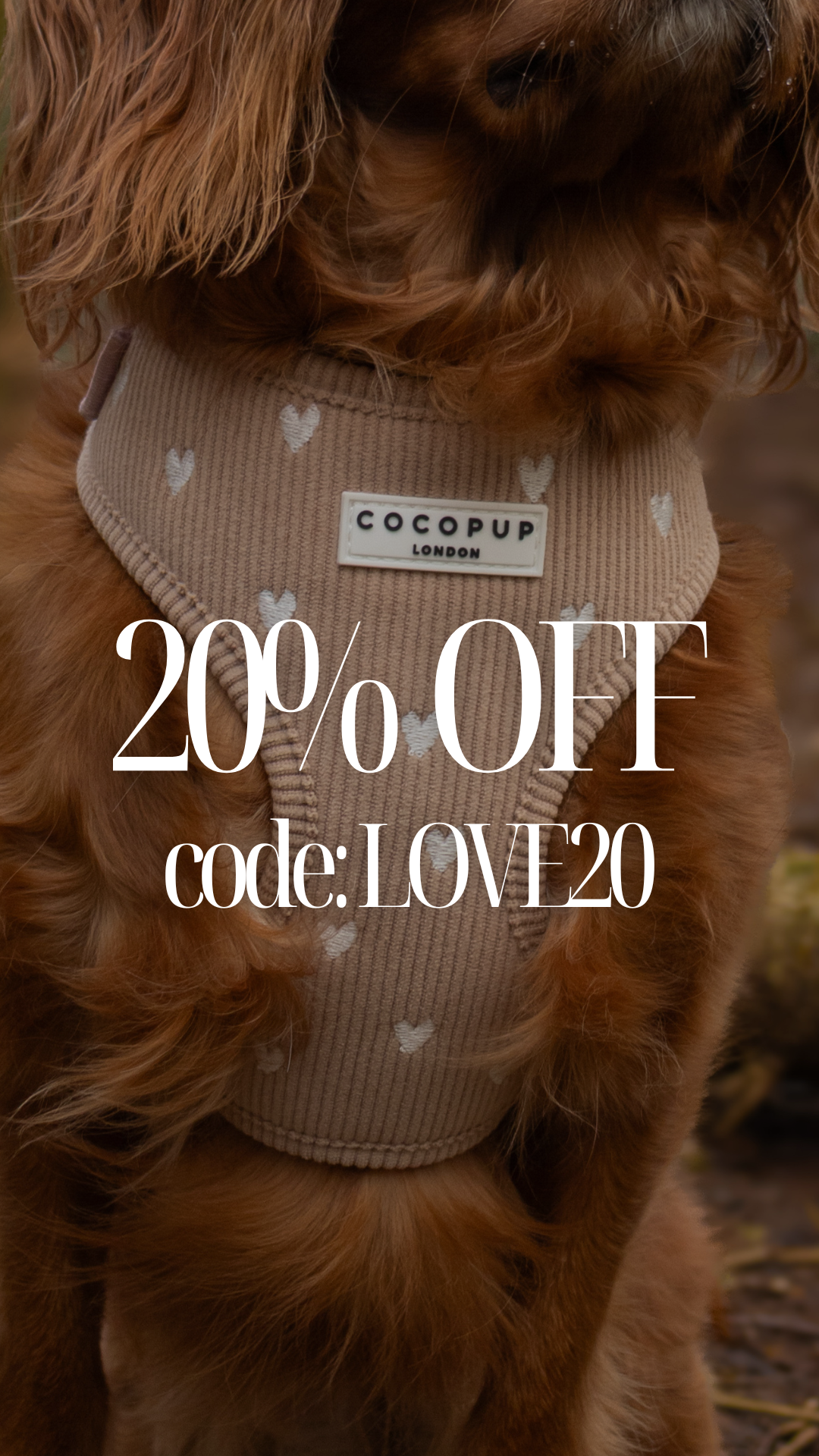 Cocopupuk Facebook ad