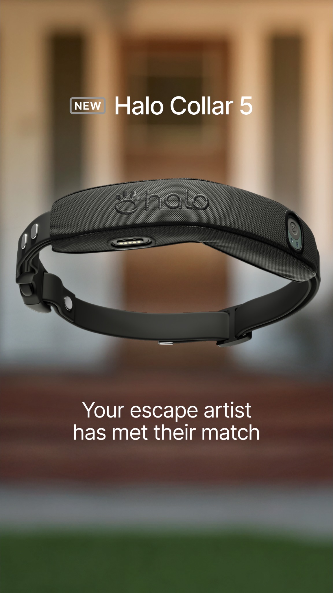 Halo Collar Facebook ad