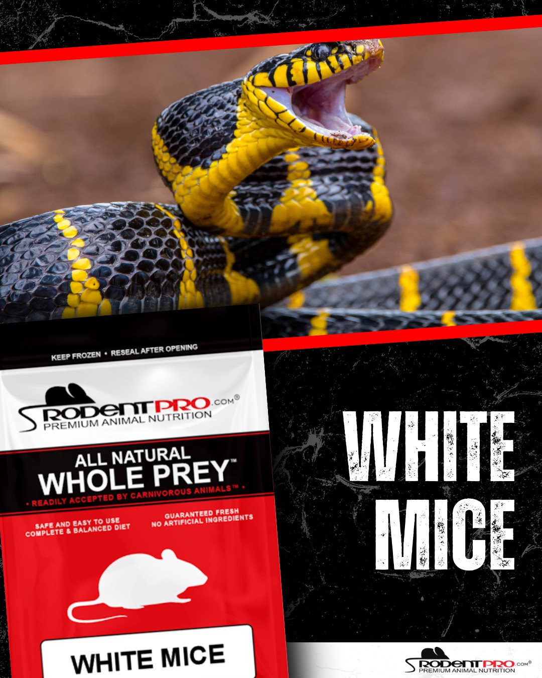 RodentPro.com Facebook ad