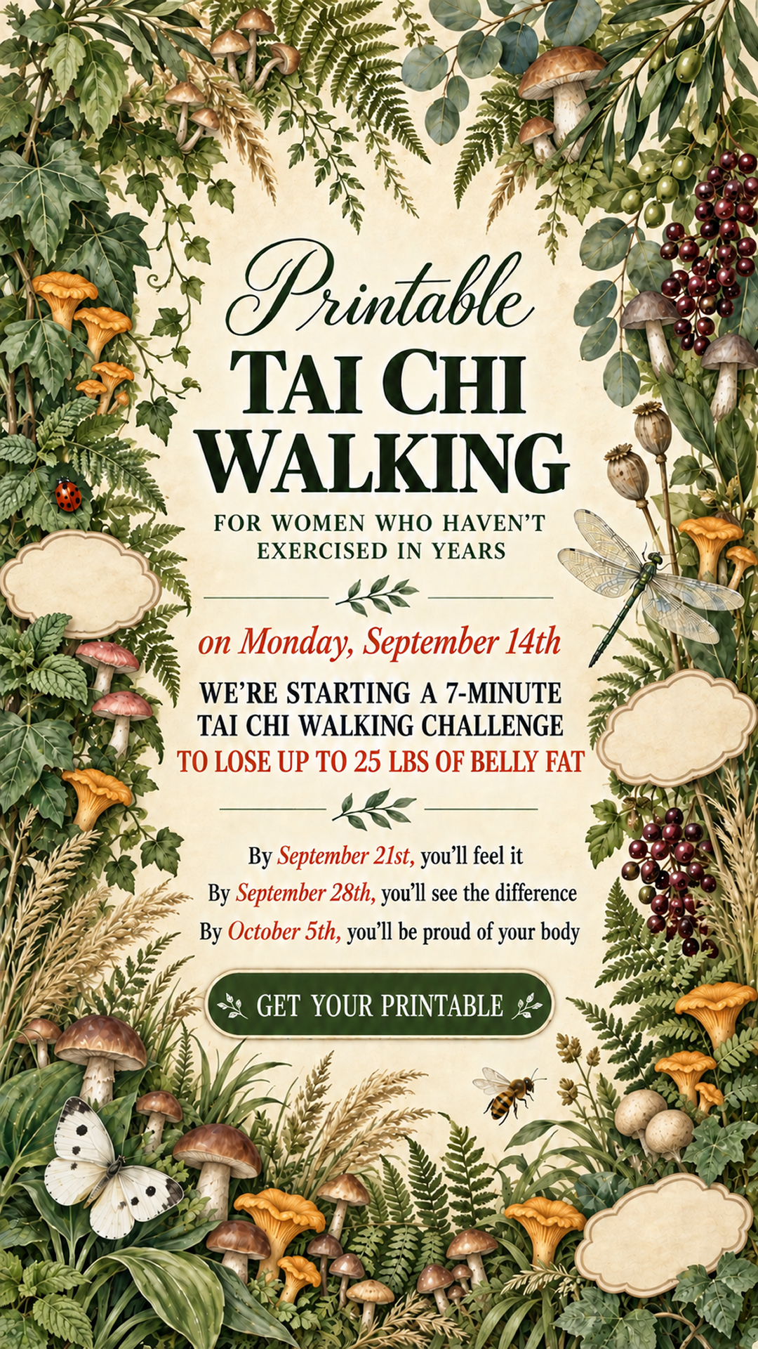 WalkFit Daily Walking Plan Facebook ad