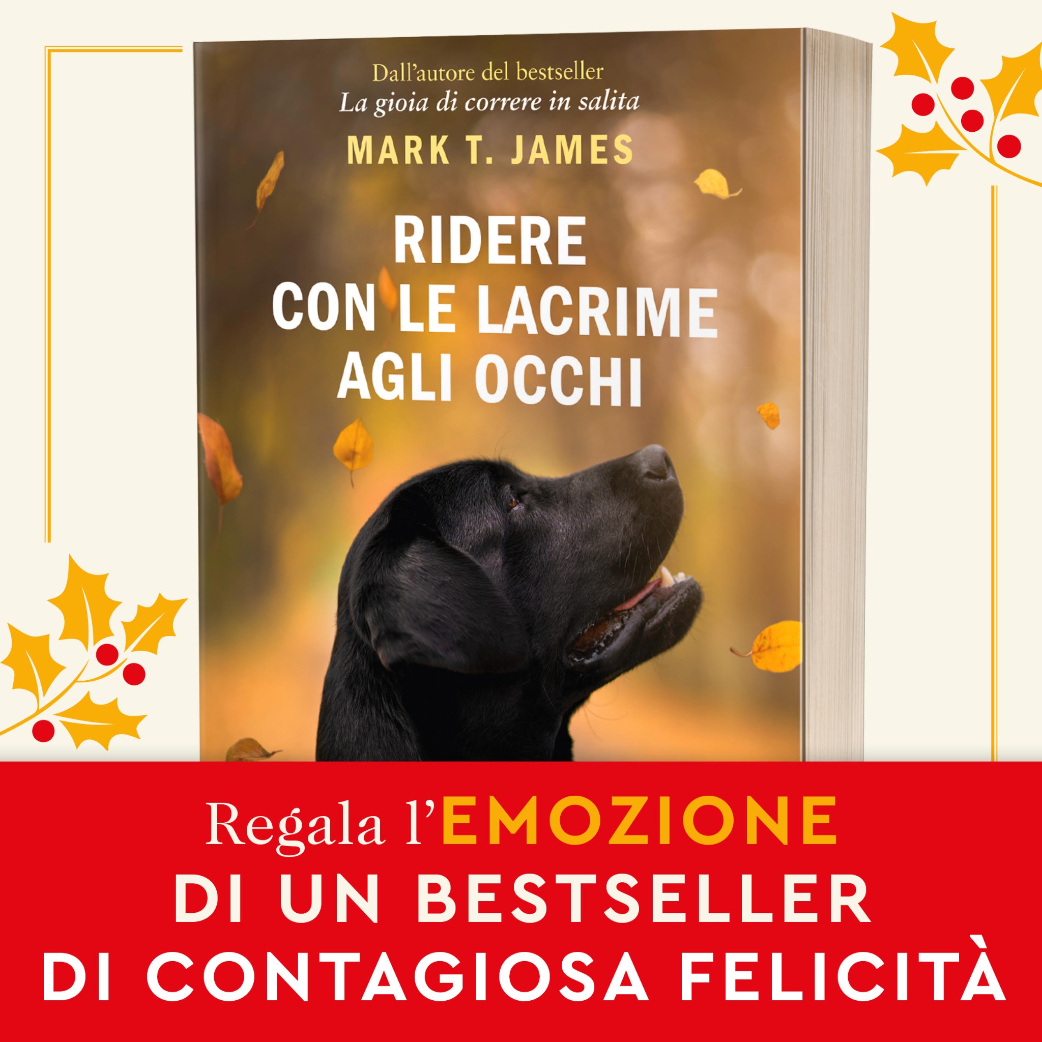 Ridere con le lacrime agli occhi - Il libro Facebook ad