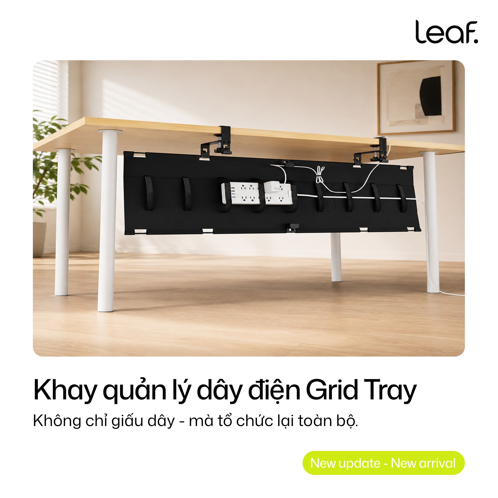 Leaf · Your daily, inspired Facebook ad: Bạn dọn mặt bàn mỗi ngày, nhưng đã…