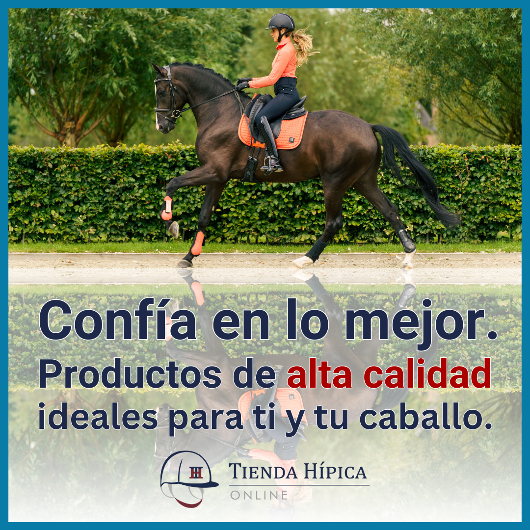 Tienda Hípica Online Facebook ad: Últimas unidades
