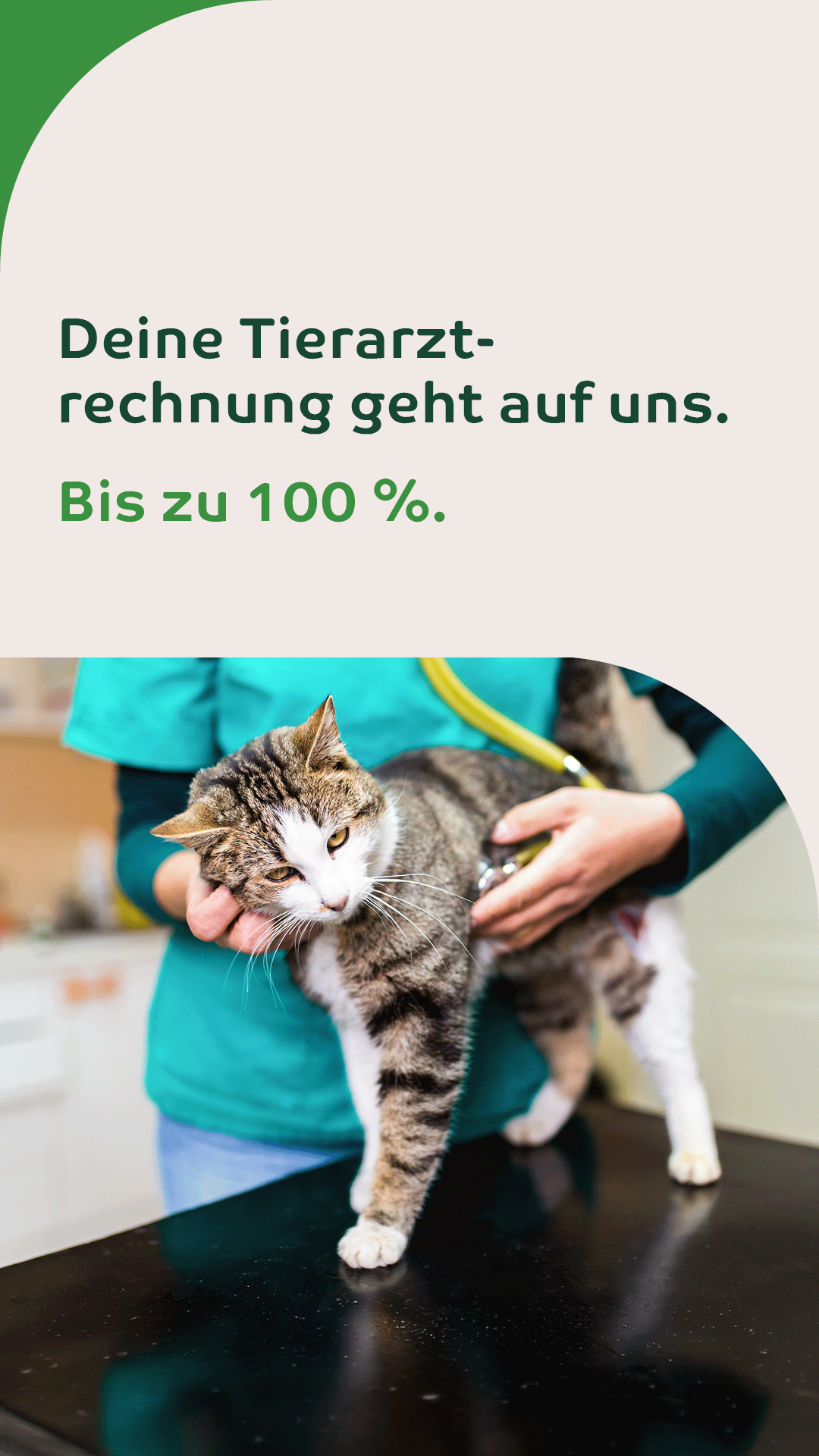 Uelzener Versicherungen Facebook ad