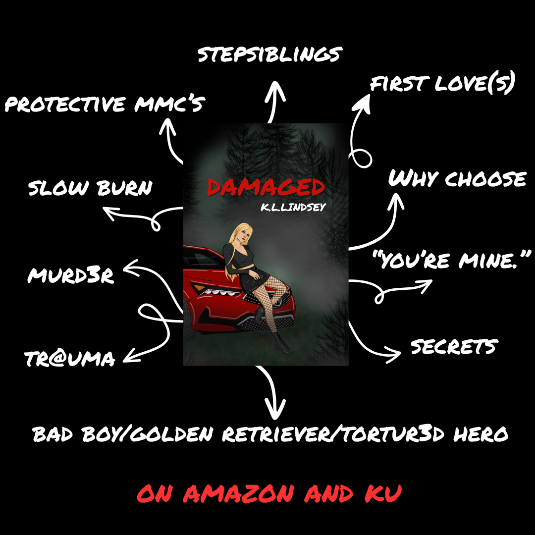 Author K.L. Lindsey Facebook ad: DAMAGED (The Damaged Trilogy Book 1)