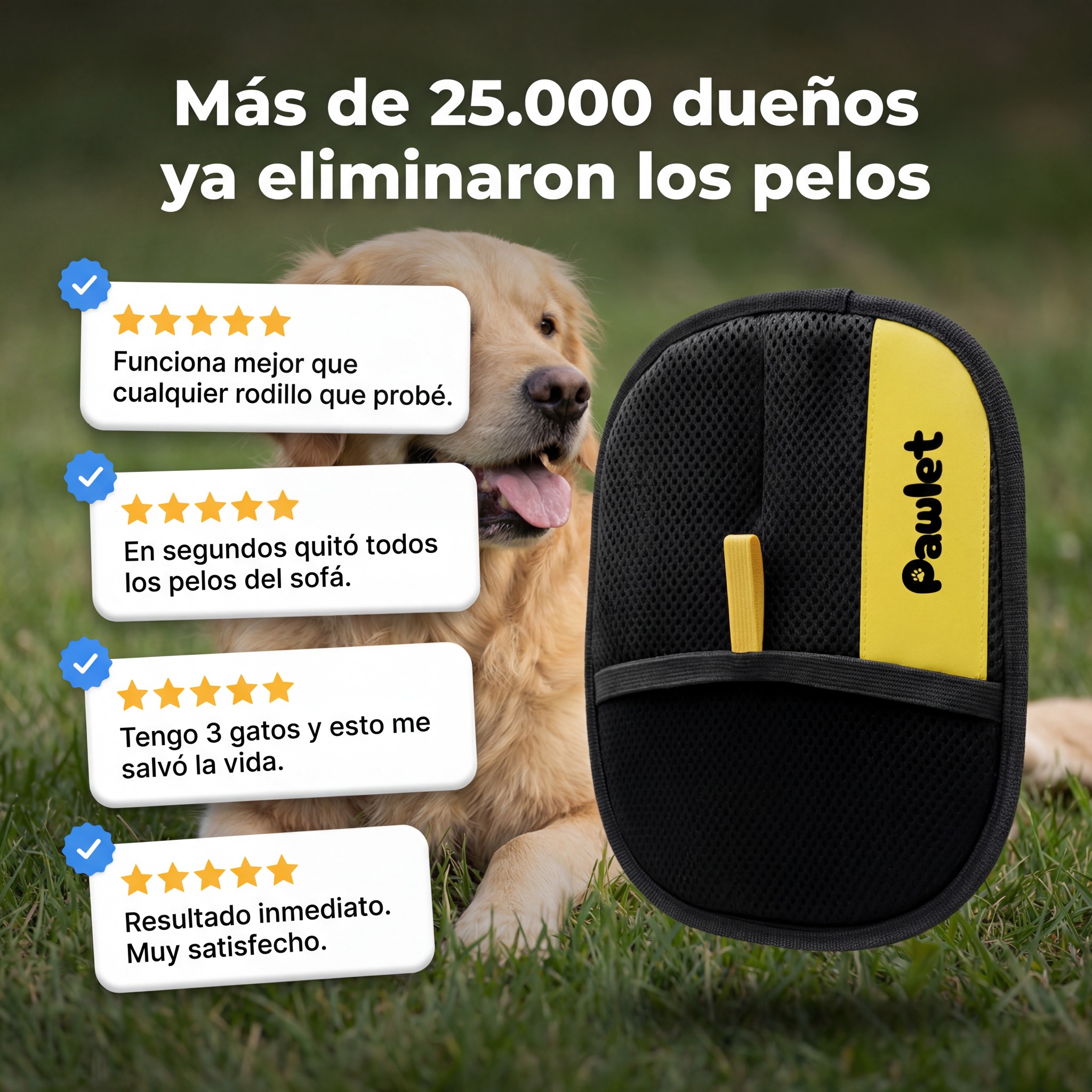 Pawlet Facebook ad