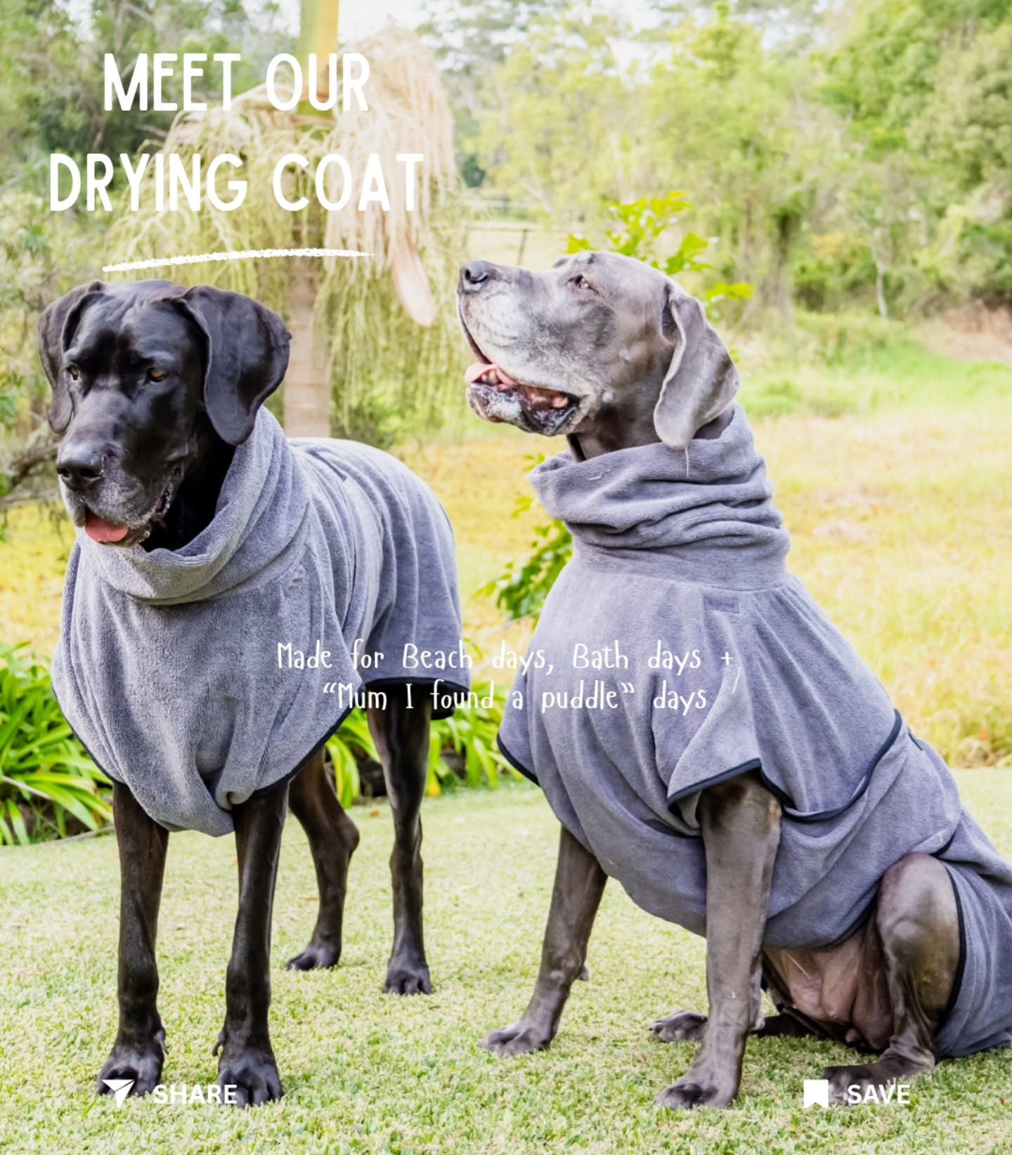 mila.thegreatdane Facebook ad: Meet your new post-bath, post-beach, post-I swear she…