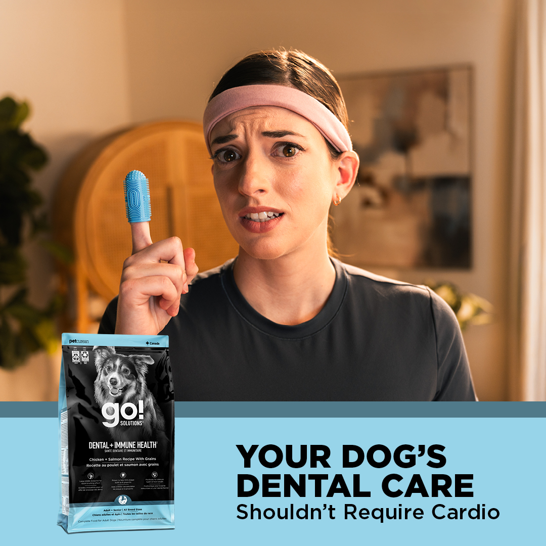 Go Solutions Pet Food Facebook ad from May 5, 2026