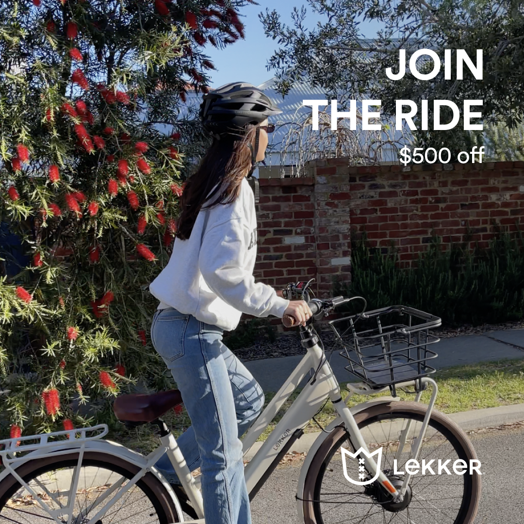 Lekker Bikes Facebook ad