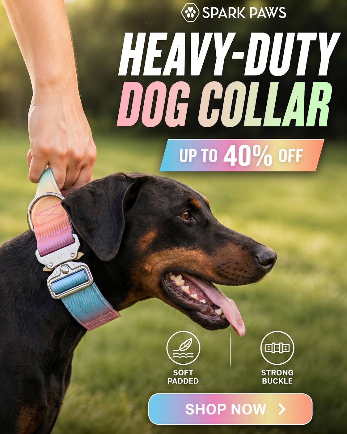 Spark Paws Facebook ad