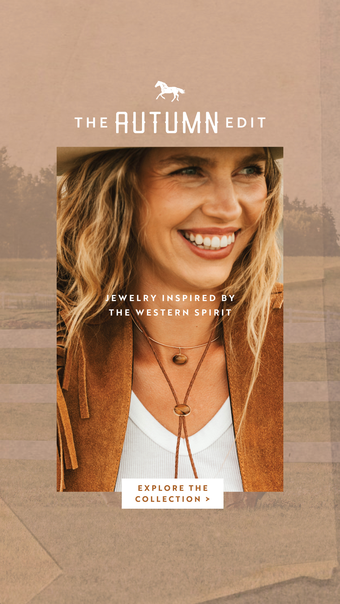 Hello Adorn Facebook ad