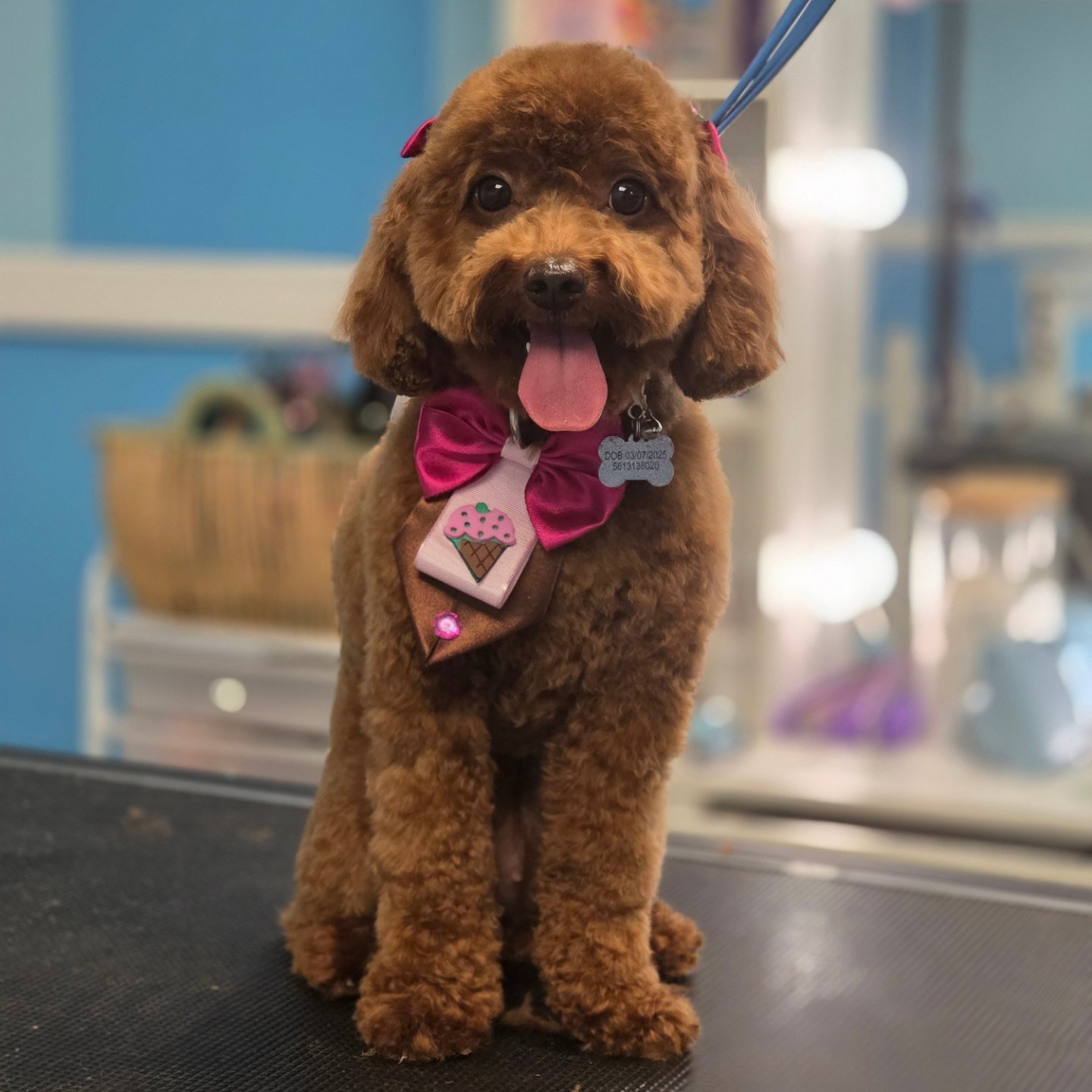Ashgrooming Facebook ad: Full Groom Services
