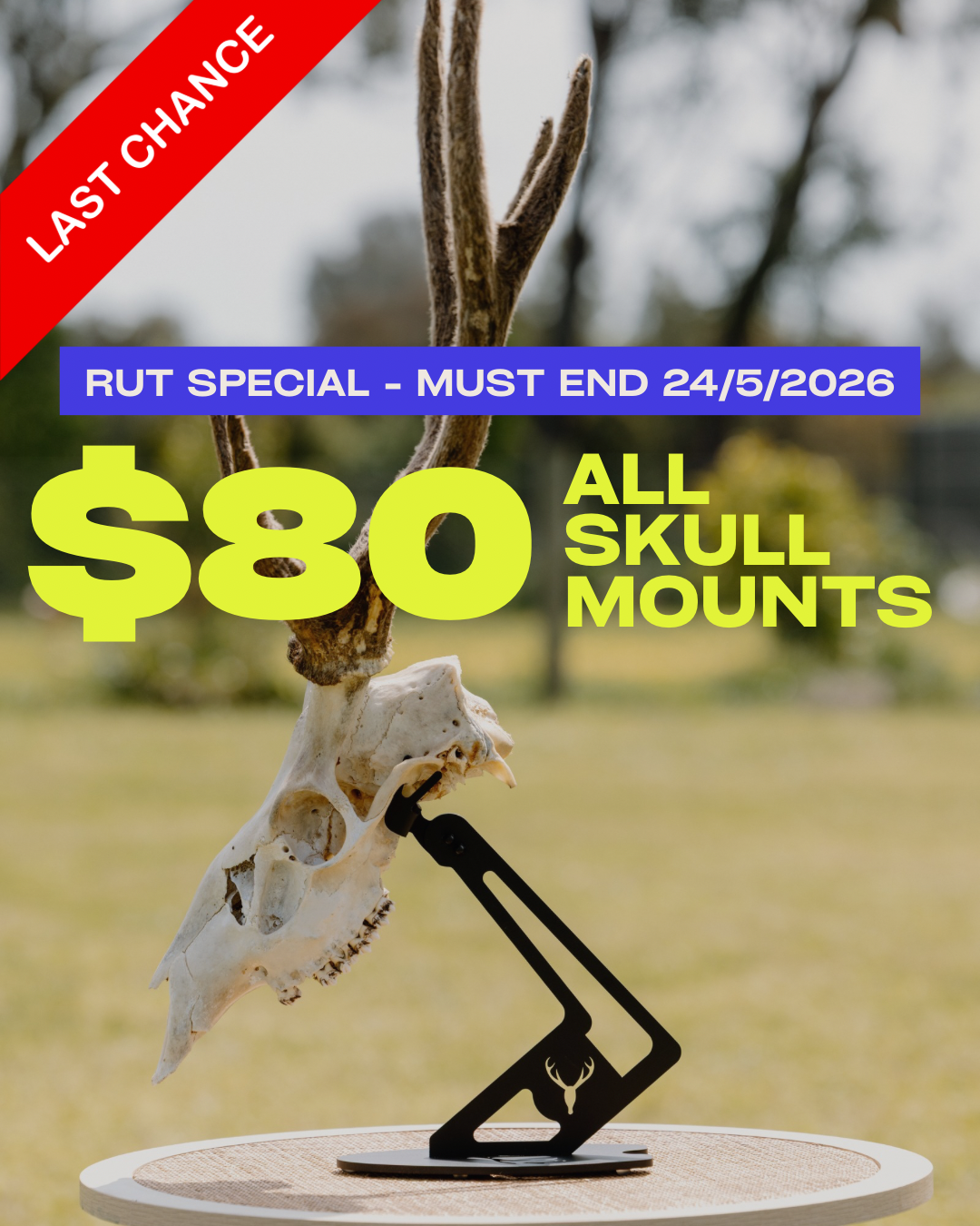 Aussie Skull Mounts and Designs Facebook ad