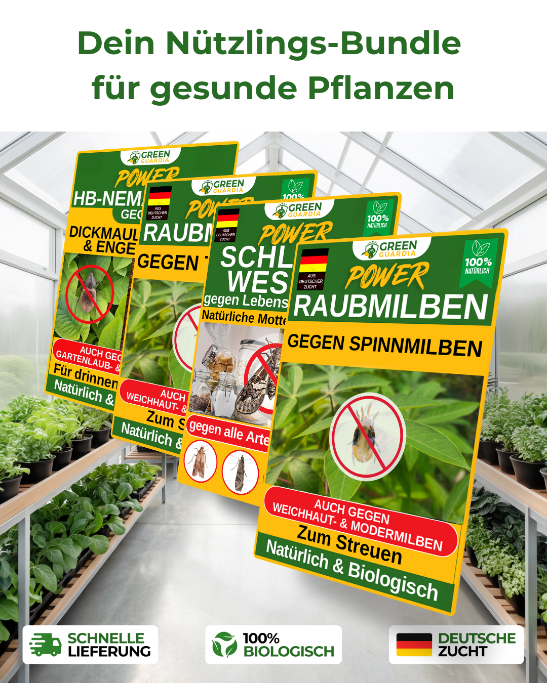 Green Guardia Facebook ad