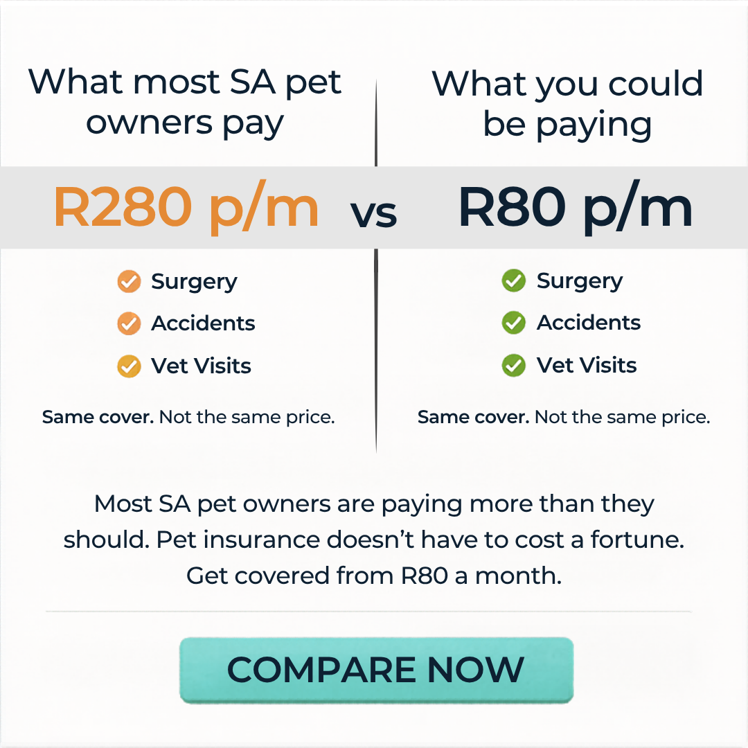 Pet-Insurance.co.za SA Facebook ad