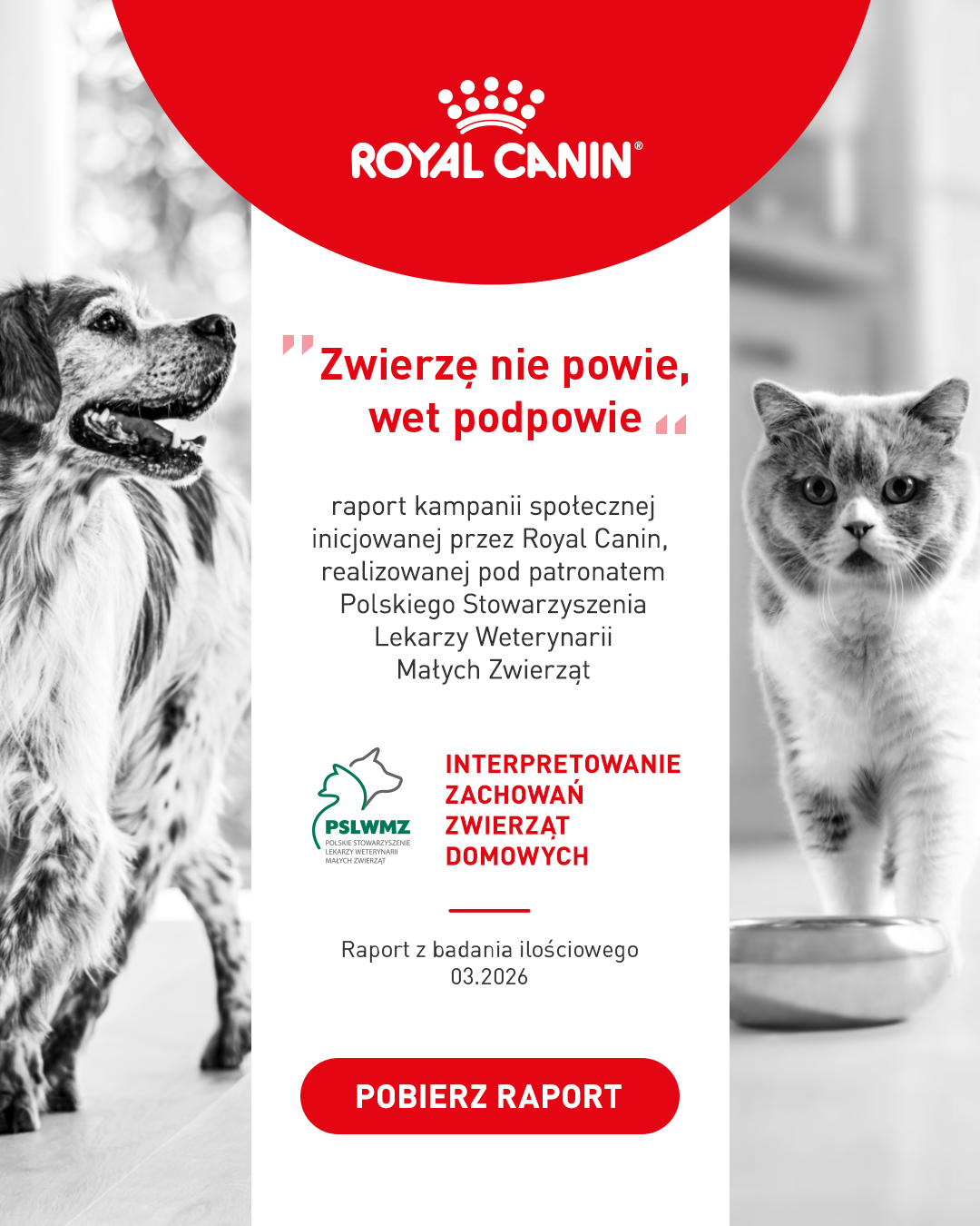 Royal Canin Facebook ad: Zwierzę nie powie, wet podpowie, raport kampanii…