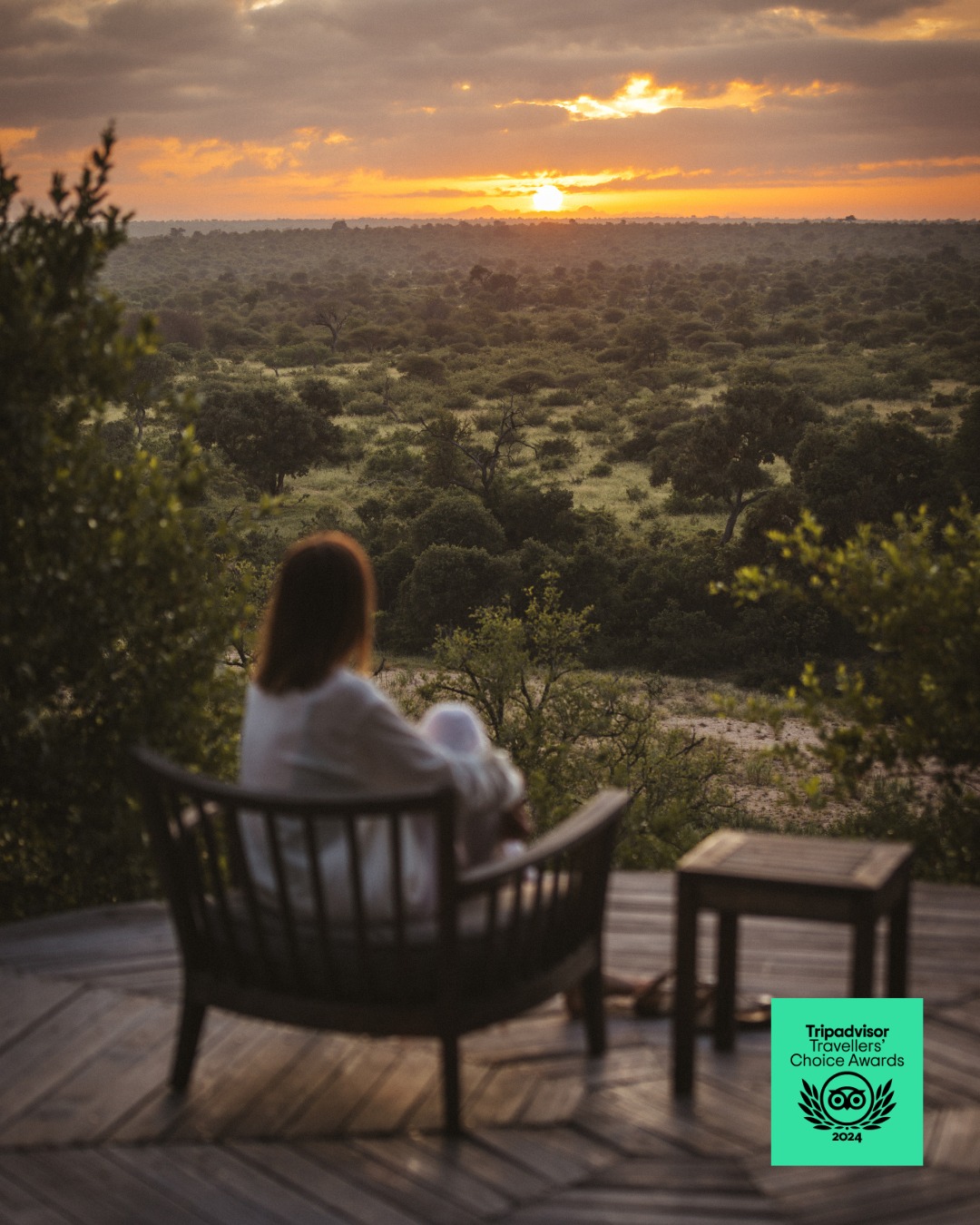 Klaserie Drift Safari Camps ad creative